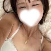 ヒメ日記 2025/11/15 08:00 投稿 あこ 柏人妻花壇