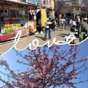 ヒメ日記 2026/02/23 15:49 投稿 あこ 柏人妻花壇