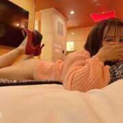 ヒメ日記 2026/03/12 08:55 投稿 あこ 柏人妻花壇