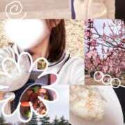 ヒメ日記 2026/03/19 07:09 投稿 あこ 柏人妻花壇