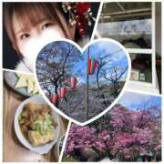 ヒメ日記 2026/03/28 08:20 投稿 あこ 柏人妻花壇