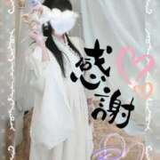 ヒメ日記 2024/12/31 12:00 投稿 れいあ 柏人妻花壇