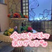 ヒメ日記 2024/06/19 23:04 投稿 あいか 柏人妻花壇