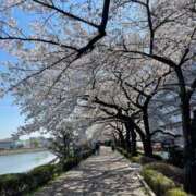 ヒメ日記 2025/04/05 10:00 投稿 まなみ 柏人妻花壇