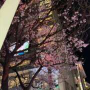 ヒメ日記 2026/03/20 09:23 投稿 まなみ 柏人妻花壇