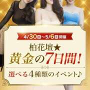 のの GW後半 柏人妻花壇