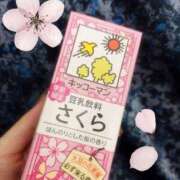 ヒメ日記 2026/03/29 09:47 投稿 のの 柏人妻花壇