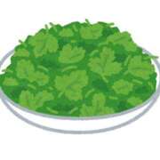 ヒメ日記 2026/04/25 09:05 投稿 のの 柏人妻花壇