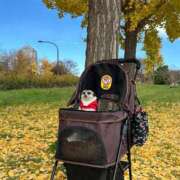 ヒメ日記 2024/12/19 08:12 投稿 はな 柏人妻花壇