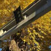 ヒメ日記 2024/12/20 07:31 投稿 はな 柏人妻花壇