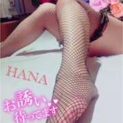 ヒメ日記 2025/05/24 10:00 投稿 はな 柏人妻花壇