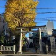 ヒメ日記 2025/12/04 22:16 投稿 はな 柏人妻花壇