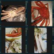 ヒメ日記 2026/04/24 11:00 投稿 かりん 柏人妻花壇