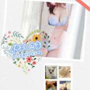 ヒメ日記 2024/12/13 19:04 投稿 まこ 柏人妻花壇