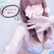 ヒメ日記 2024/12/15 15:04 投稿 まこ 柏人妻花壇