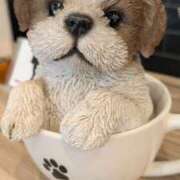 ヒメ日記 2025/11/05 17:02 投稿 まこ 柏人妻花壇