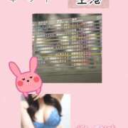 ヒメ日記 2026/08/15 10:31 投稿 まこ 柏人妻花壇