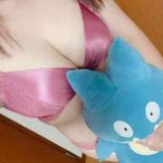 ヒメ日記 2025/07/17 09:08 投稿 まろん 柏人妻花壇