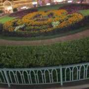 ヒメ日記 2025/10/26 13:15 投稿 まろん 柏人妻花壇