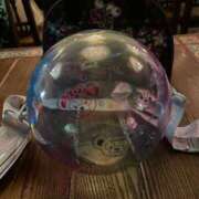 ヒメ日記 2025/11/13 12:35 投稿 まろん 柏人妻花壇