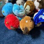 ヒメ日記 2026/02/05 17:02 投稿 まろん 柏人妻花壇