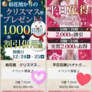 ヒメ日記 2024/12/16 18:16 投稿 まどか 柏人妻花壇