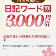 ヒメ日記 2025/02/02 14:31 投稿 まどか 柏人妻花壇