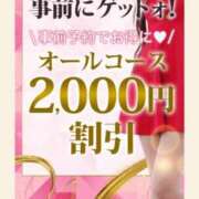 ヒメ日記 2025/04/26 23:24 投稿 まどか 柏人妻花壇