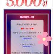 ヒメ日記 2025/05/31 09:34 投稿 まどか 柏人妻花壇