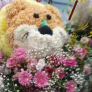 ヒメ日記 2025/06/28 22:06 投稿 まどか 柏人妻花壇