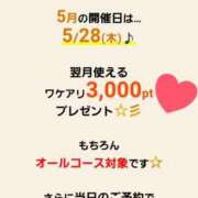 ヒメ日記 2026/05/26 19:52 投稿 まどか 柏人妻花壇