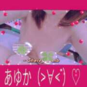 ヒメ日記 2024/12/11 11:30 投稿 あゆか 柏人妻花壇