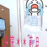 ヒメ日記 2025/09/09 22:02 投稿 あゆか 柏人妻花壇