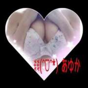 ヒメ日記 2026/03/19 08:15 投稿 あゆか 柏人妻花壇