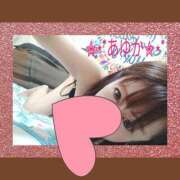 ヒメ日記 2026/03/25 11:45 投稿 あゆか 柏人妻花壇