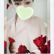 ヒメ日記 2026/04/03 12:16 投稿 あゆか 柏人妻花壇