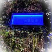 ヒメ日記 2024/12/13 13:01 投稿 さり 柏人妻花壇