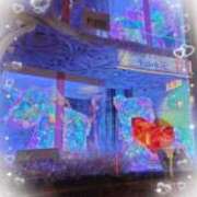 ヒメ日記 2024/12/25 13:11 投稿 さり 柏人妻花壇