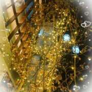 ヒメ日記 2024/12/25 15:10 投稿 さり 柏人妻花壇