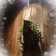 ヒメ日記 2024/12/25 14:39 投稿 さり 柏人妻花壇