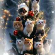 ヒメ日記 2024/12/25 20:08 投稿 さり 柏人妻花壇