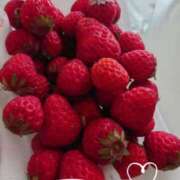 ヒメ日記 2025/04/25 17:48 投稿 さり 柏人妻花壇