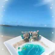 ヒメ日記 2025/07/18 11:41 投稿 さり 柏人妻花壇