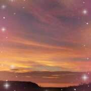 ヒメ日記 2025/07/23 16:07 投稿 さり 柏人妻花壇