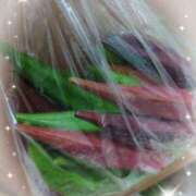 ヒメ日記 2025/09/10 17:06 投稿 さり 柏人妻花壇