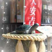 ヒメ日記 2025/09/25 19:57 投稿 さり 柏人妻花壇