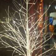 ヒメ日記 2025/11/09 18:39 投稿 さり 柏人妻花壇