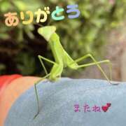 ヒメ日記 2024/12/12 20:25 投稿 とも 柏人妻花壇