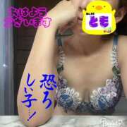 ヒメ日記 2024/12/21 08:00 投稿 とも 柏人妻花壇