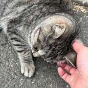 ヒメ日記 2025/01/03 09:24 投稿 とも 柏人妻花壇